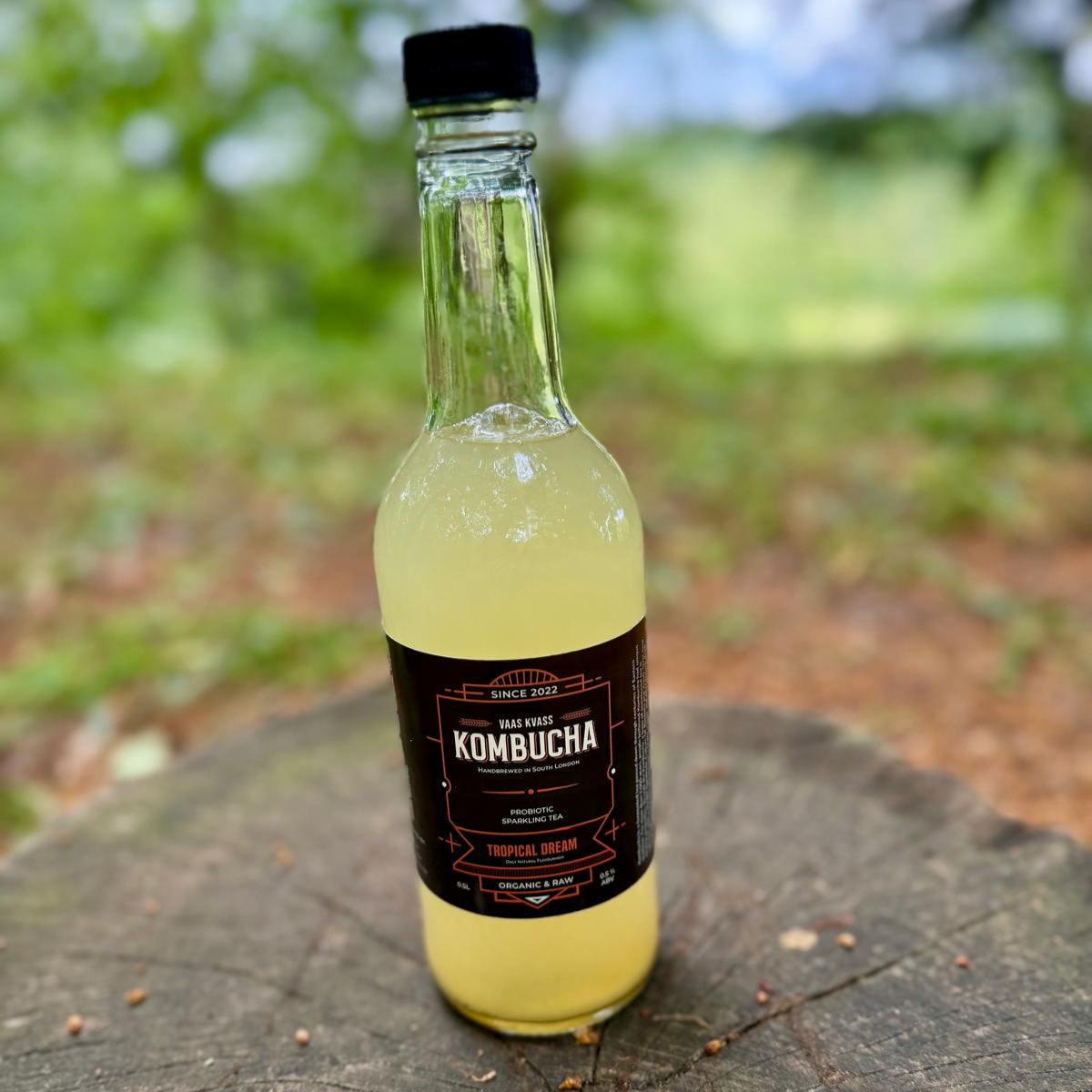 Kombucha