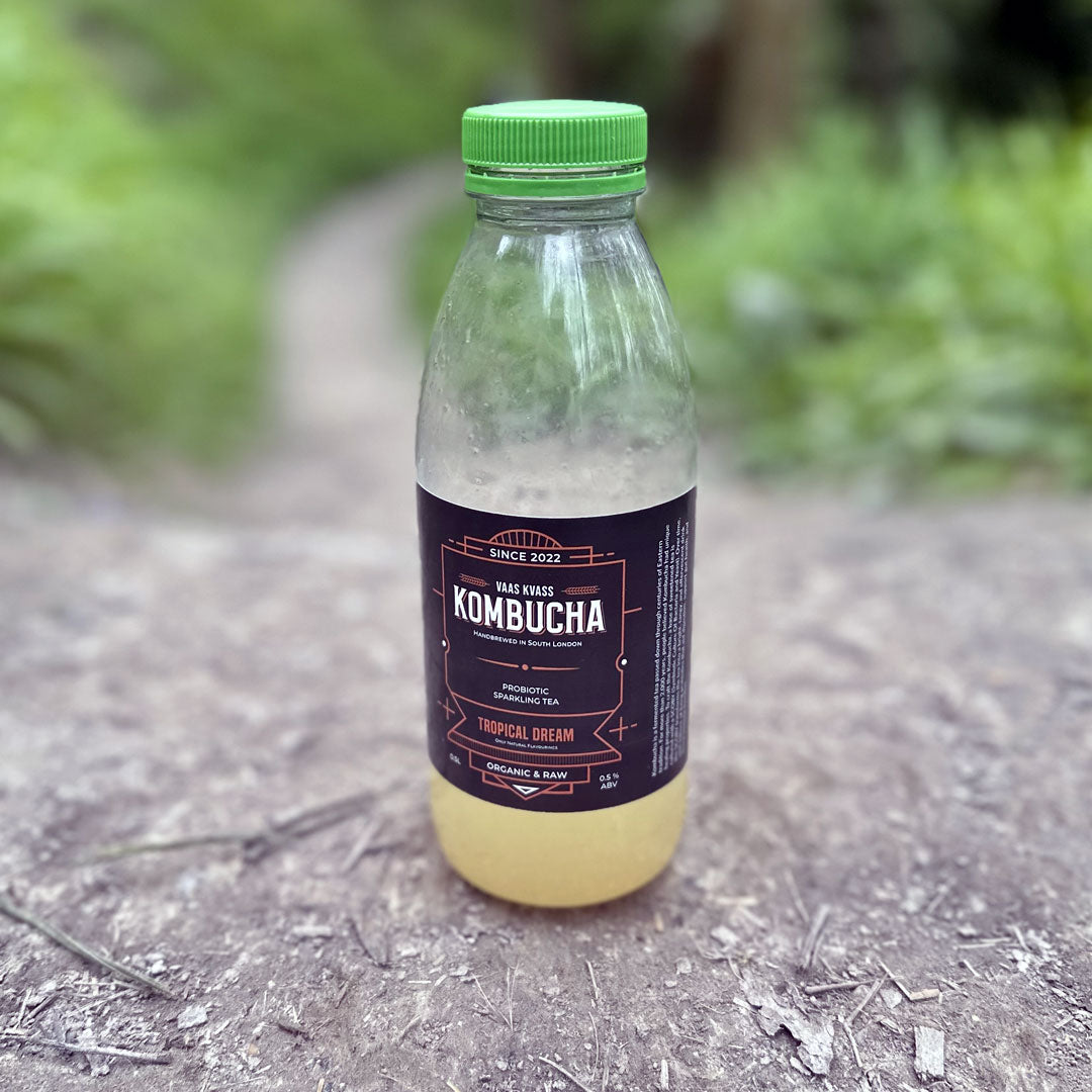 Kombucha